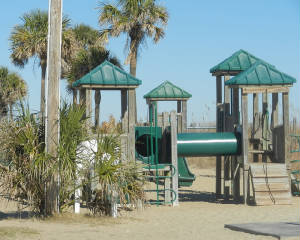 playgroundsuntrees.JPG